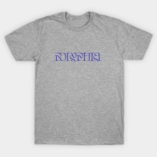 Vintage look Polyphia Distressed Text Blue T-Shirt